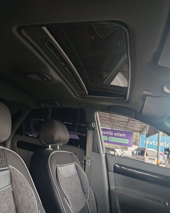 Жентра кора ранг 2023