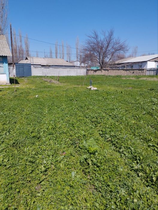 Тошкент вилояти, Бўка туманида 33 сотихли ер майдони сотилади.