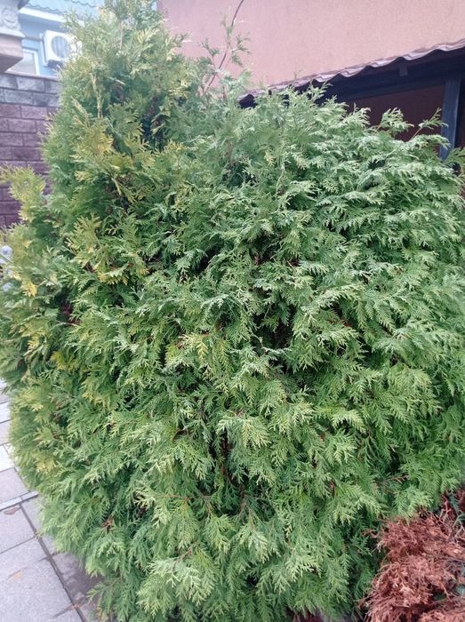 Продам земельный участок