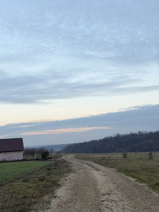 Parcele de vanzare Pausa