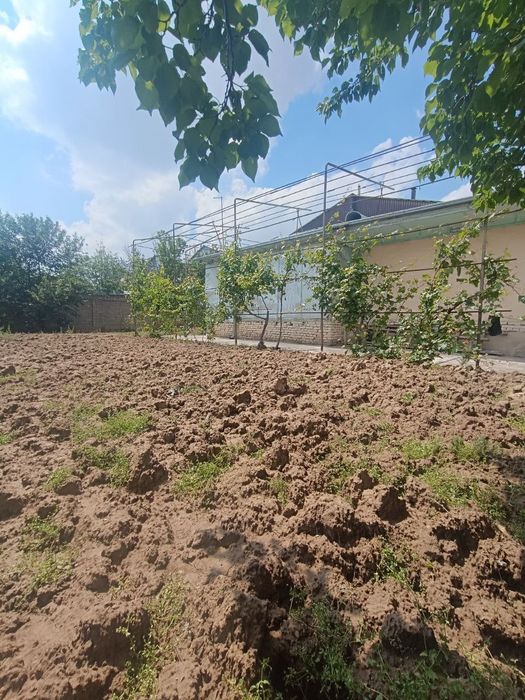 Участок 5.6 соток Фасад 25м  Кулолкургон махалля Юнусабад