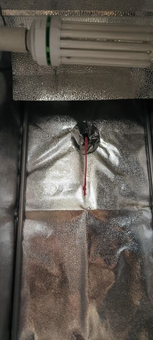 Cort crestere indoor. Lumina, ventilator si 4 ghivece