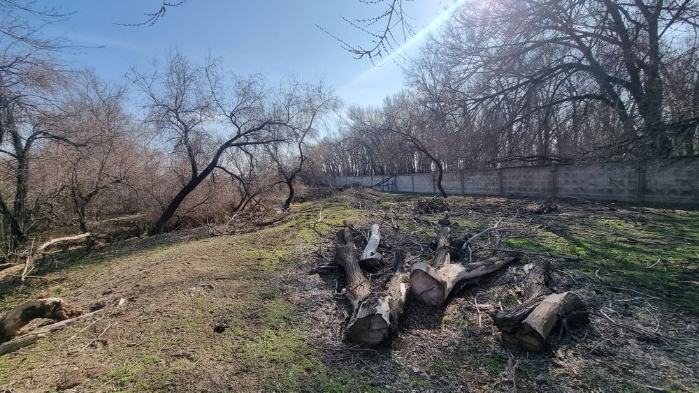 Продается фазенда