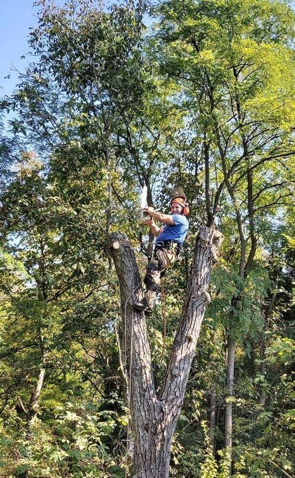 Почистване на запустели дворове и парцели от храсти и къпина.
