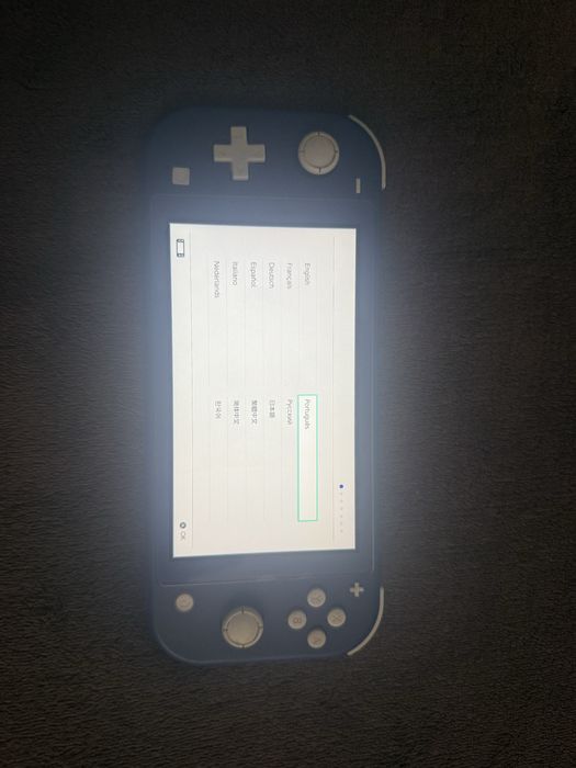 Nintendo switch lite