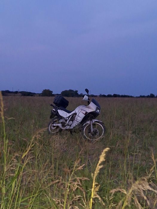 Honda transalp 600