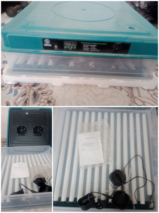 Инкубационные яйца, Инкубатор