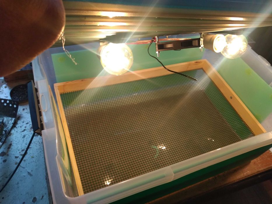 Инкубатори - български