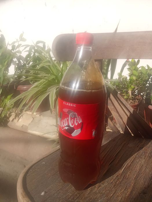 togʻni toza Asali mayski sifati aʼlo darajada