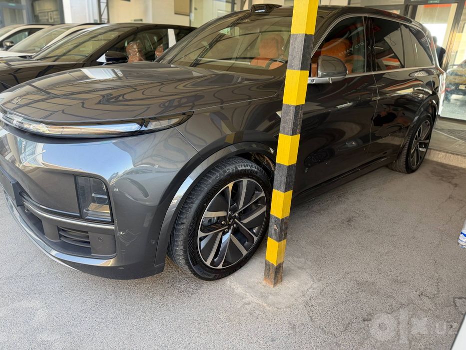 Lixiang 9 ultra mokriy
