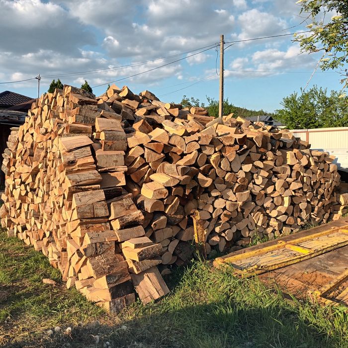 Lemne de foc fag capete uscate 600 lei tona