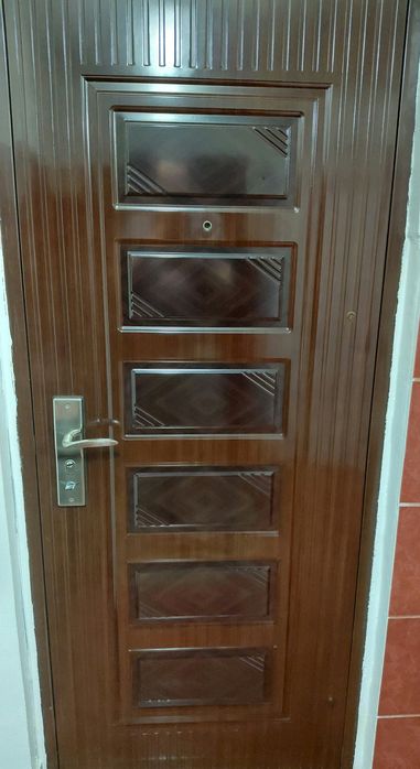 Usa metalica apartament