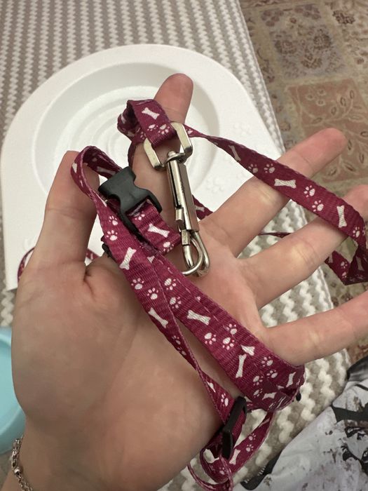 Кошачий туалет миска шлейка