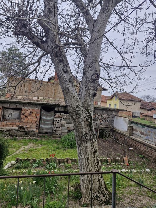 Продавам орех  цял