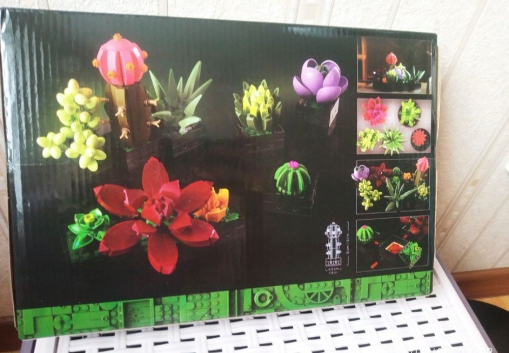 Конструктор суккуленты