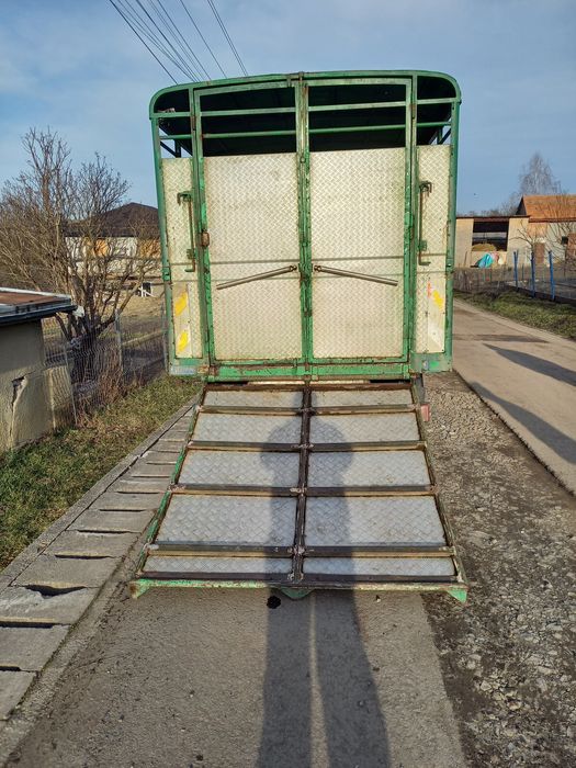 Servicii transport autorizat animale vii (vaci cai vitei oi tauri)