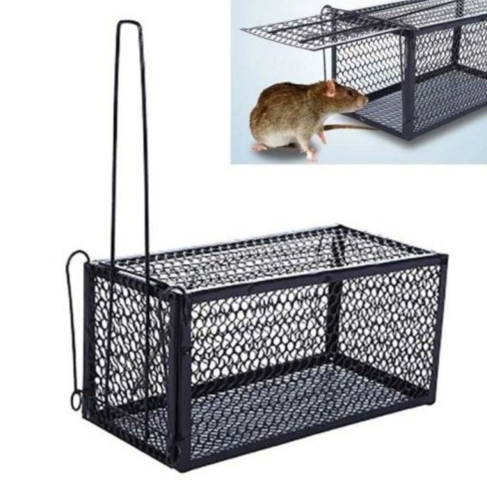 Ловушка для крыс (Qopqon)