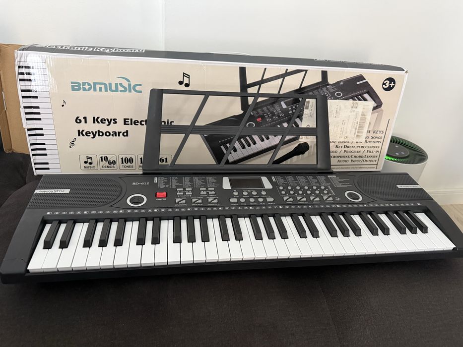 Orga Electronica