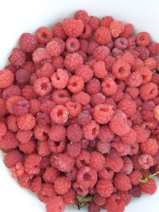 Дача в Садоводе на Наримановке