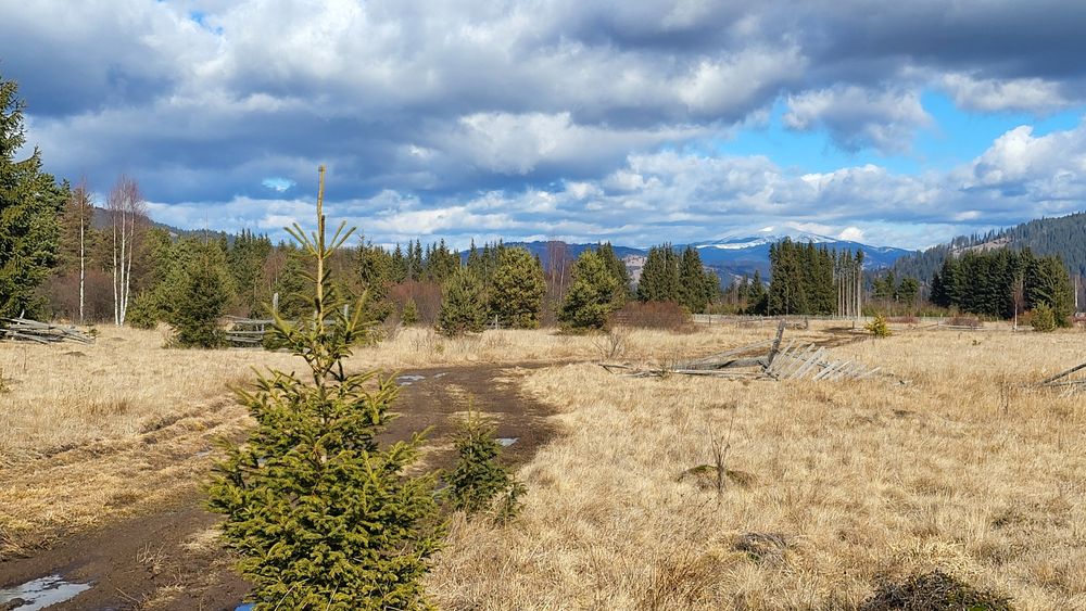 Teren de vânzare Șaru Dornei 2euro / mp