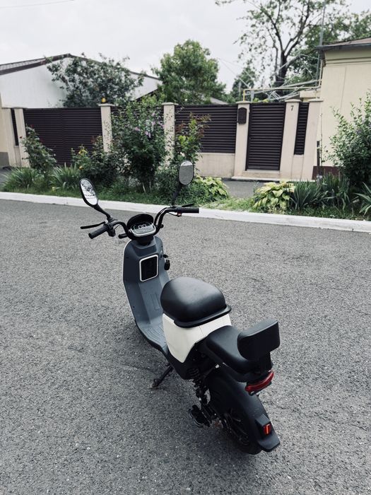 Scuter Electric 500W