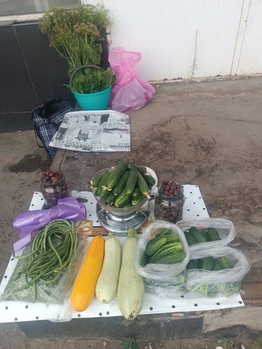Продам огурцы дачные