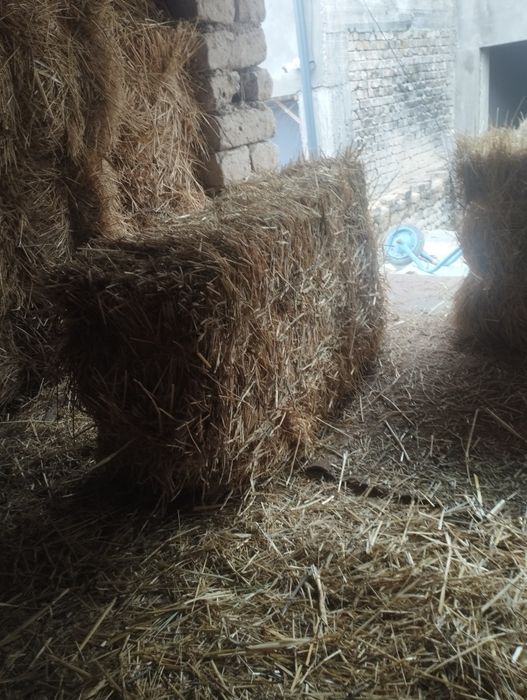 Сомон ва хашак сотилади