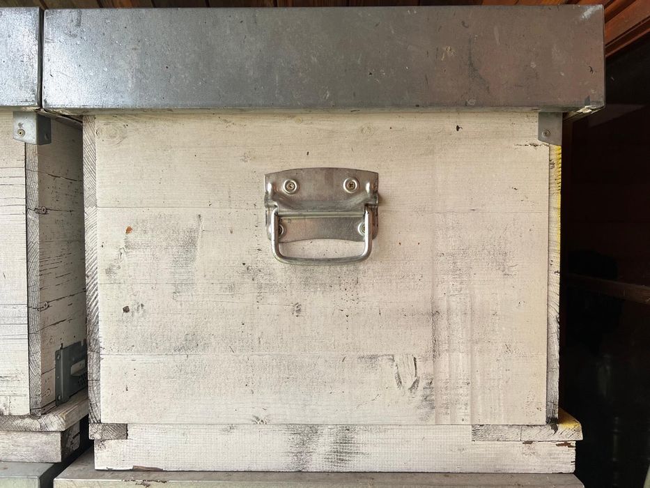 Vand stupi de albine din lemn, 10 rame, cu magazie 1/2 + accesorii