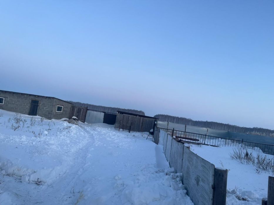 Продам дом в поселке Нечаевка