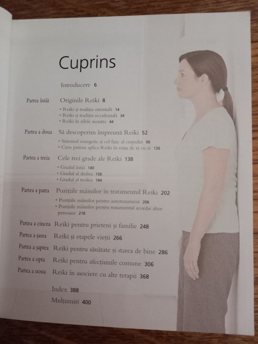 Carte Totul despre Reiki