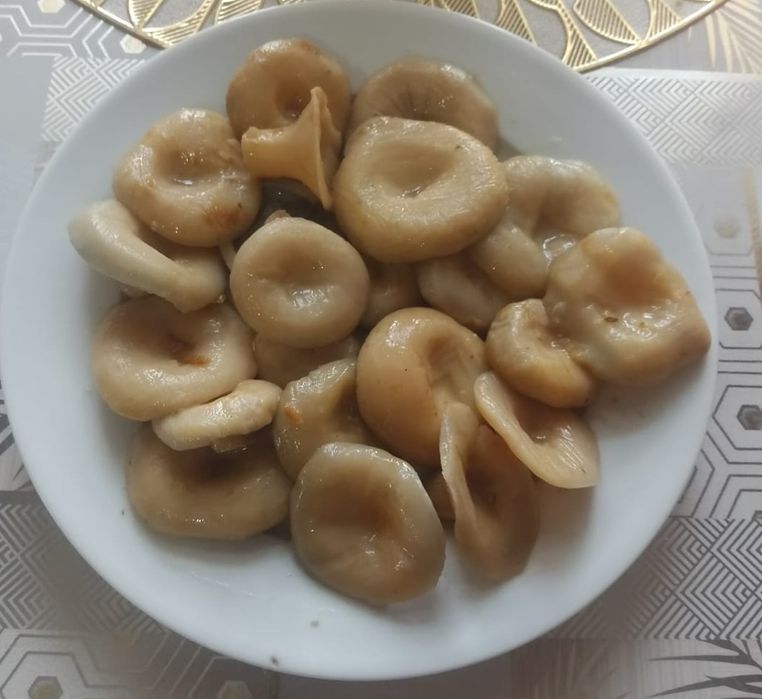 Продаю грибы солёные