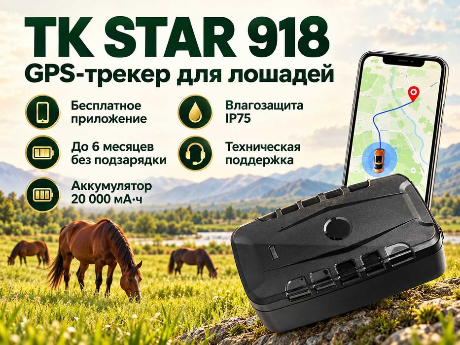 GPS трекер для лошадей. Жпс жылқыға