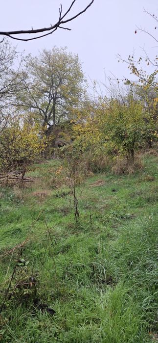 Продава се Къща в с. Пресяка, Област Ловеч - 60 кв.м за 170 €/кв.м - Снимка #3