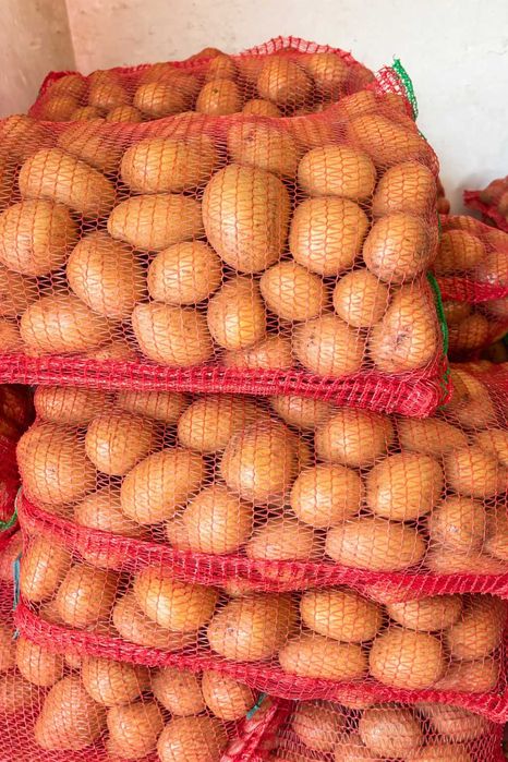 Cartofi albi de vânzare – calitate foarte bună