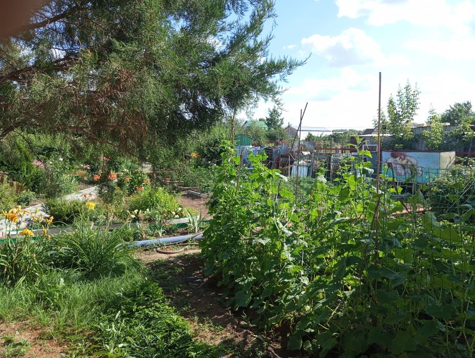 Продам дачу. Общество Вишневый сад