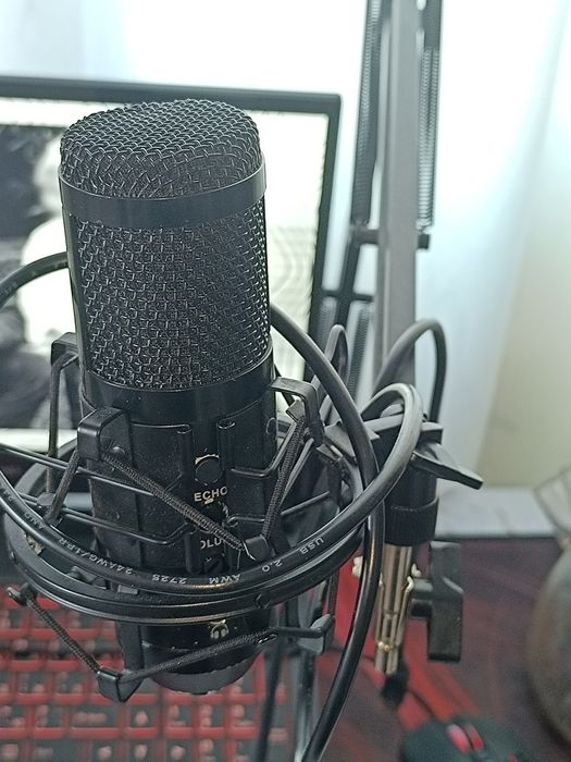 микрофон+пантографн