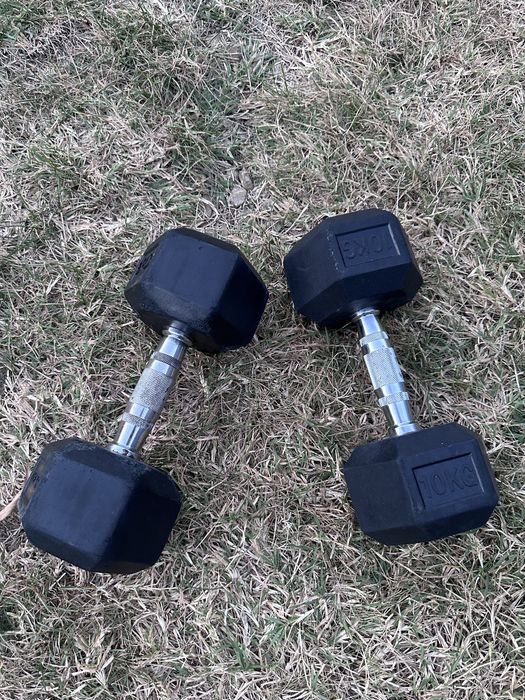 Set Gantere Hexagonale Eleiko 2 x 10 kg (Total 20 kg) - Premium