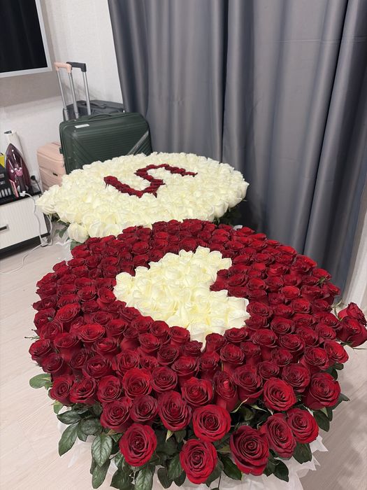 Свежий  404 штук розы