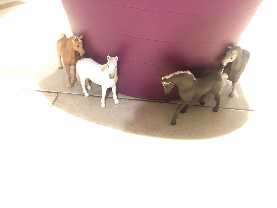 Детски кончета Schleich с аксесоари