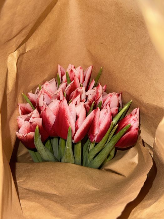 Продаем тюльпанчики к 14 февраля оптом