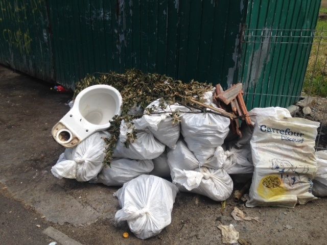 RIDIC moloz ,lemne ,gunoi ,mobila