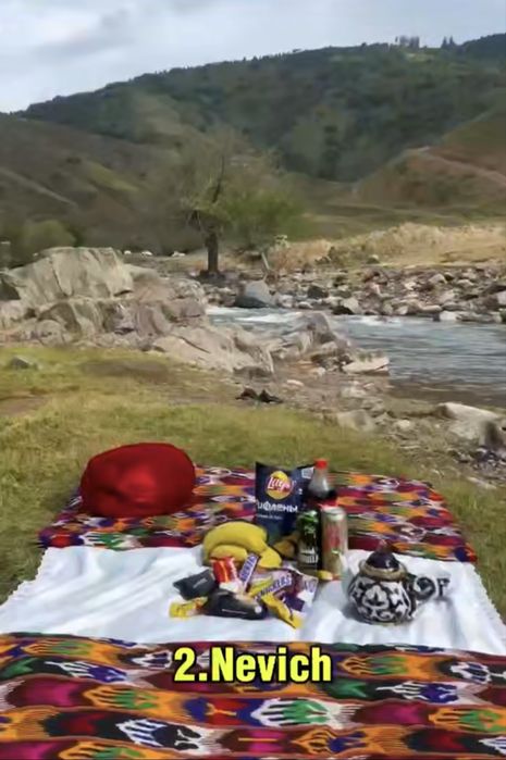 Sayoxat va piknik Dam olish uchun mikroaftobus ichki turizm 17 kishi