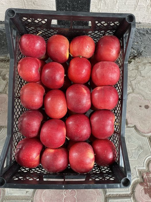 В  продаже яблока Айдаред  готовы в корзинках