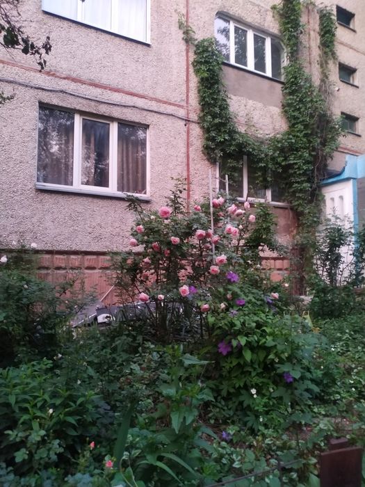 Сдам комнату женщине 16 м2 с небольшим количеством вещей.