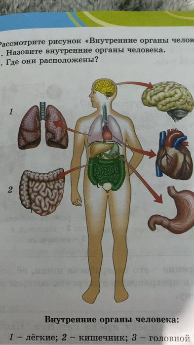 ОСМС ( мед. страхование)