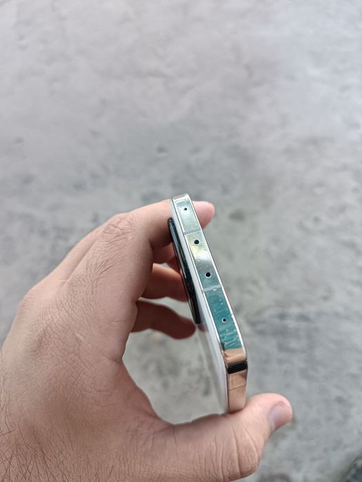 Xiaomi 13 12/256