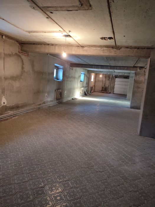 Сдам теплый подвал 300м2