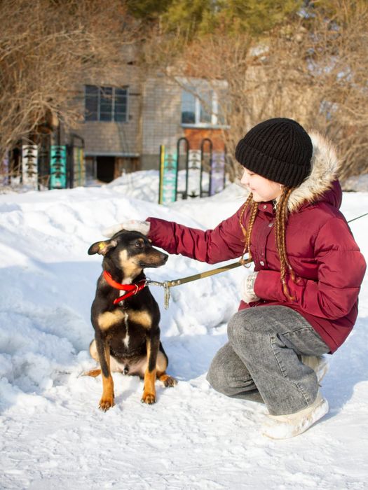 Забери меня домой