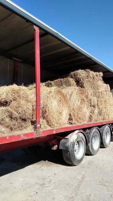 Vand baloți de lucerna și otavă
