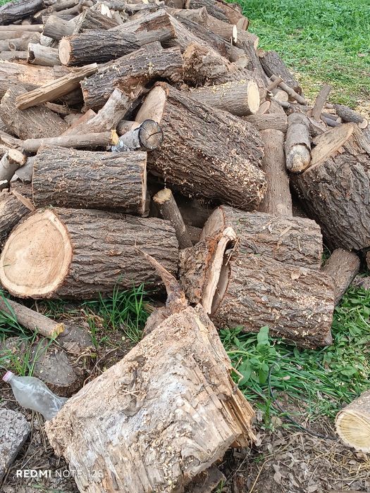 Ўтинлар бор катта катта нархи келишилади